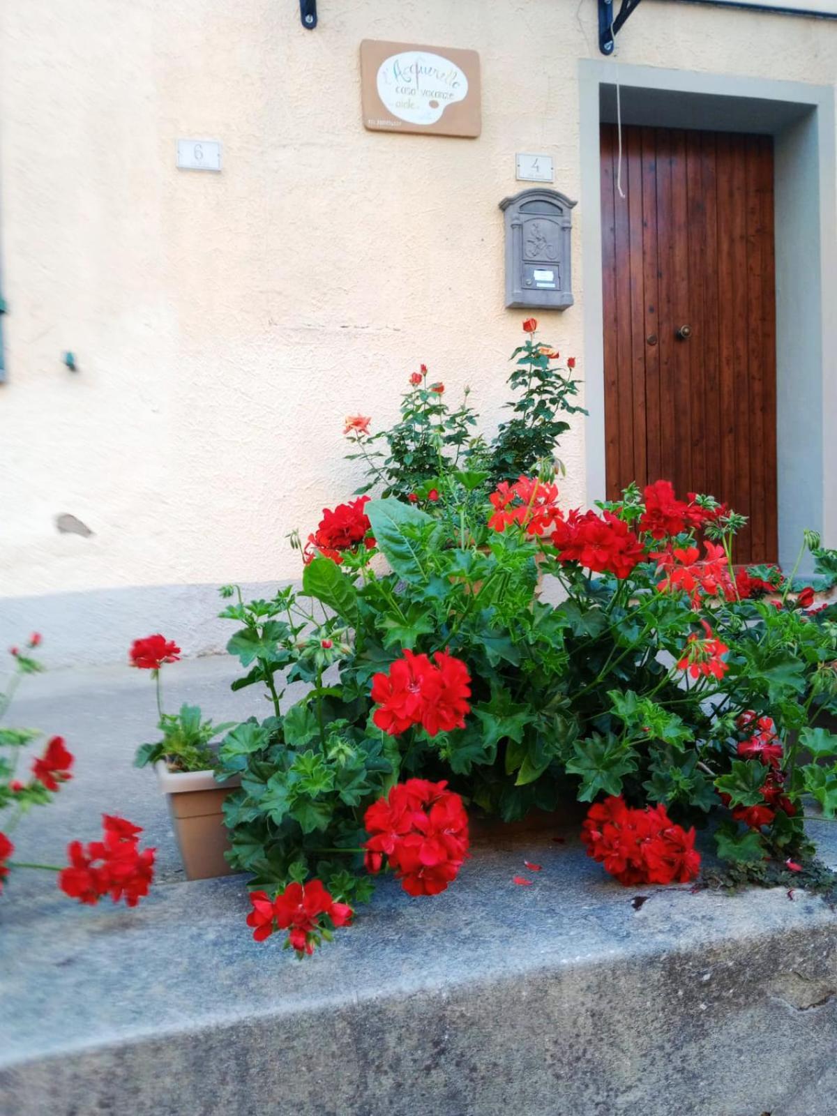 Casa Vacanze L'Acquerello Lari 外观 照片